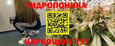 mix Бердск