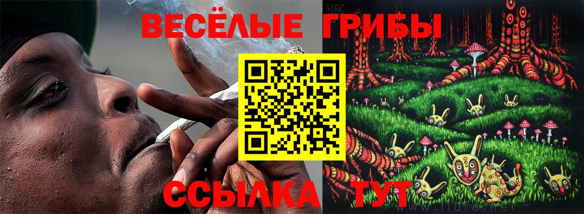 Псилоцибиновые грибы Magic Shrooms Петрозаводск